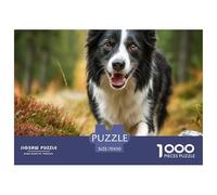 Dog Puzzle 1000 Pezzi Cute Pets Appassionati, Materiali Premium, Poster E Box Elegante - 70x50cm/1000pcs