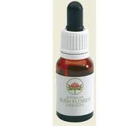 Dog rose australian 15 ml