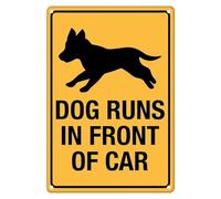 Dog Runs In Front Of Car Targa in alluminio per interni o cartelli per casa cucina fattoria giardino garage decorazione da parete 30,5 x 20,3 cm