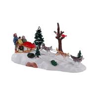 Dog Sledding Afternoon Cod. 13557
