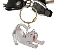 Dog Tensake Box, capelli per cani Keepsake Keyring, Memorial Acrilic Clear Chiave Chain per lo zaino Celaccino per la borsa da donna Collezione da donna Borsa
