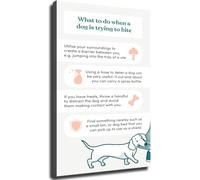 Dog Training Poster - Canvas Wall Art of Bite Prevention Tips - Safety Guide for Home, Office, and Pet Clinic Aesthetics(Framed,08x12inch(20x30cm))