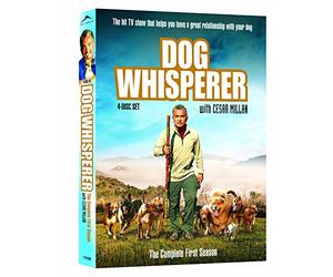 Dog Whisperer: The Complete First Season