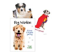 DOG WISDOM Mazzo Di Carte Esoteriche Per La Divinazione Blue Angel Nuovo