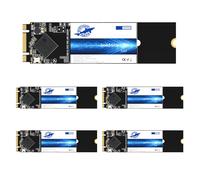 Dogfish M.2 SSD 64 GB SATA III 6 Gb/s M.2 (2280 mm) UnitÃ a stato solido interna - Compatibile con PC desktop e laptop (M.2 2280 64 GB*5 pezzi)