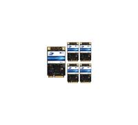 Dogfish MSATA 64 GB Drive a stato solido interno Mini Drive disco SSD SSD Disco rigido per il laptop desktop (MSATA 64 GB (5 pacchetti))