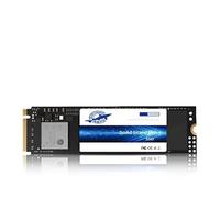 Dogfish SSD PCIE NVMe 1TB Desktop Computer Portatile Interno Allo Stato Solido Drive (M.2 PCIe NVMe 1TB)