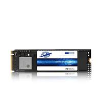 DOGFISH SSD SATA pcie NVMe 128 GB Desktop portatile all'interno di un disco a stato solido Include 240 GB 250 GB 500 GB (128 GB, M.2 PCIe NVMe)