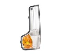 Dogkapm direzione dinamici specchietto retrovisore Alloggiamento Luce Indicatore Specchietto Retrovisore Esterno Resistente Direzione Per Retrovisore Per Iveco Daily Dal 2015 In Poi(Left)