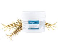 Dogoteka DogoDent Polvere per Cani e Gatti 60 gr