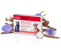 Dogoteka LactoAdapt 2023 per Cani e Gatti 15 compresse