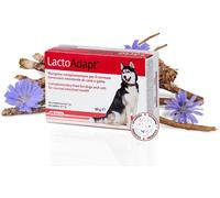 Dogoteka LactoAdapt 2023 per Cani e Gatti 60 compresse