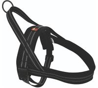 Dogs Creek Pettorina Norvegese Nera L