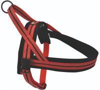 DOGS CREEK Pettorina Norvegese Rossa XL