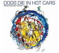 Dogs Die in Hot Cars - Please Describe Yourself
