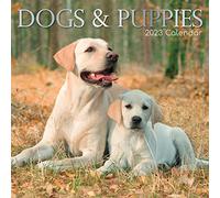 Dogs & Puppies - Cani e cuccioli 2023 - Calendario 16 mesi: calendario originale Gifted Stationery [multilingue] [calendario]