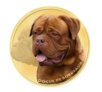 Dogue de Bordeaux - Adesivi riflettenti, impermeabili, divertenti per laptop, frigorifero, auto, paraurti, finestre, 22 cm