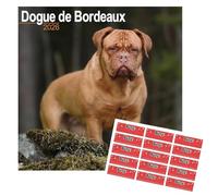 Dogue de Bordeaux Calendario 2026 Calendario da parete quadrato di razza di cane | 16 mesi | con adesivi organizzativi