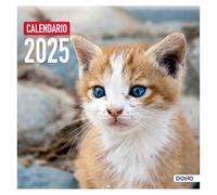 Dohe - Calendario da parete 2024 - Legatura a graffetta - Dimensioni: 30 x 30 cm - Con foro per appendere a parete e Planning 2024 - Modello Gatti