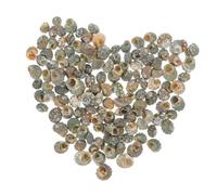 DOITOOL 100 Pezzi Decorazioni Naturali per Acquario Gusci per Granchio Eremita Decorazione Casa e Tema Mare Creativo per Feste Hawaiane e Matrimoni sulla Spiaggia