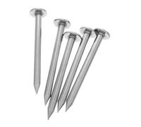 DOITOOL 5 Pezzi Piccoli Picchetti per Rilievi Terreni in Acciaio Inossidabile Marcatori Permanenti per Linee di Confine e Punti di Controllo Chiodi Resistente per Misurazioni Precise e