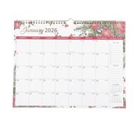 DOITOOL Calendario da parete, da appendere, mensile, per casa o ufficio, organizer annuale da parete, calendario per la pianificazione di eventi e festività