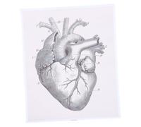 DOITOOL Cartello Anatomico del Cuore Umano 1 Pezzo in Tela di Fibra