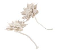 DOITOOL Diffusore Ambiente con Fiori Secchi Naturali 2 Pezzi con Corda di Cotone Design Decorativo senza Fuoco per Camera da Letto e Festa