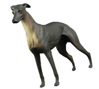 DOITOOL Figura di Cane in Plastica Realistica per Riproduzione Educativa per Scienze Naturali Decorazione Leggera e Robusta Regalo Didattico per Ragazzi e Ragazze