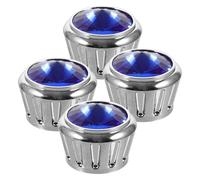 DOITOOL License plate clips, license plate mounting accessories, copriviti antifurto per targa con strass blu, 1 set, acciaio inossidabile, per auto, design elegante