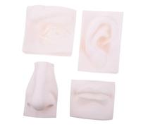 DOITOOL Modello Didattico Organi di Senso in PVC Morbido Set da 4 Pezzi, Scultura Decorativa per Casa e Ufficio, Ausilio Artistico per Studenti e Pratica di Disegno