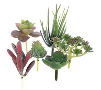 DOITOOL Piante Grasse Artificiali senza Vaso 6 Pezzi Miniature Realistiche per Decorazioni Interni e Composizioni Floreali in Plastica Stile Casuale