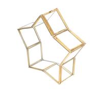 DOITOOL Piccola Scatola di Vetro a Cinque Punte per Fiori Conservati Bottiglia dei Desideri Unica Design Trasparente Confezione Regalo per Compleanno e Scatola Porta Gioielli Decorativa