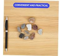 DOITOOL Scatola Per Raccolta Di Rocce e Minerali Di Geologia Con Fossili e Formazioni Minerali Per Istruzione Scolastica Include Guida All Identificazione e Vetrina