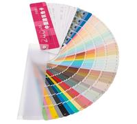 DOITOOL Schede Colore Per Pittura Opache Ral Mazzetta Colori Per Pittura e Decorazione Con Angoli Arrotondati Durevole e Facile Da Usare Per Architettura e Casa