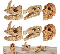 DOITOOL Set 6 Pezzi Teschi di Animali in Plastica Realistici Decorazioni Acquario e Ornamenti a Forma di Teschio Statuette Compatte per Decorazione da Tavolo e Artigianato