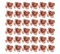 DOITOOL Set da 100 Fermagli a Farfalla in Rame Chiusura Posteriore per Spille da Bavero Cappelli e Cravatte Dorsi per Spille in Metallo Resistenti e Adatti ad Accessori Decorativi