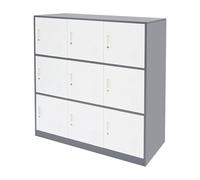 Dokiiovo Piccolo armadietto a 9/6 porte, piccolo armadietto in metallo con serratura, armadietto a scomparti per soggiorno, studio, ufficio (bianco+grigio, 9 scomparti)