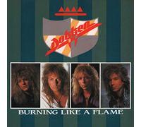 Dokken - Burning Like A Flame / Lost Behind The Wall (+ Label Info) [Vinyl Single]