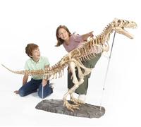 DOKTOR FUN - Mega T-Rex - Scheletro di dinosauro T-Rex - Assembla il tuo dinosauro - Modello realistico di 120 x 180 cm - 60 pezzi - Museo domestico - Fan di tutte le età