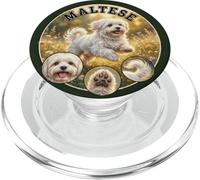 dolce divertente cane maltese gioca in natura PopSockets PopGrip per MagSafe