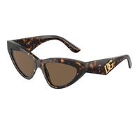 Dolce & Gabbana Donna Dolce & Gabbana DG4439 502/73 Occhiali da sole Acetato Tartaruga Marrone Cat Eye Normale