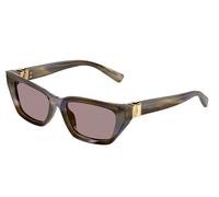 Dolce & Gabbana Donna Dolce & Gabbana DG4532 3447LA Occhiali da sole Acetato Verde Viola Cat Eye Normale