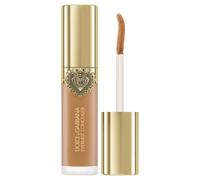 Dolce&Gabbana - Everlast Concealer Correttori 11 ml Marrone chiaro unisex