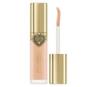 Dolce & Gabbana Everlast Correttore Light 06 11 ml - Correttore