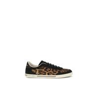 Dolce & Gabbana Multicolor Lamb Ovis Aries Aries Low Top Sneakers - EU45/US12