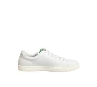 Dolce & Gabbana White Leather Rose Embroidery Low-Top Shoes - EU41/US10.5