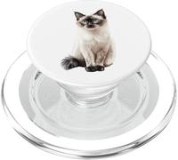 Dolce Ragdoll Cat Occhi Blu Felino Amante degli Animali PopSockets PopGrip per MagSafe