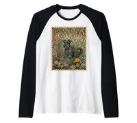 Dolce Schnauzer Nero nel Vecchio Giardino Inglese Maglia con Maniche Raglan