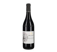 Dolcetto d'Alba Belcolle 2024